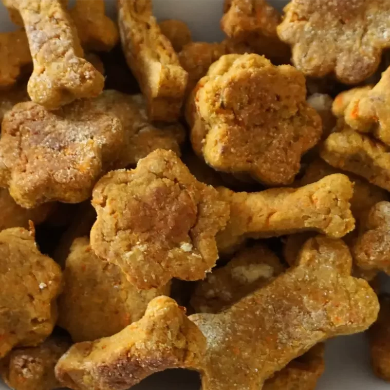 Easy Homemade Pumpkin Dog Treats